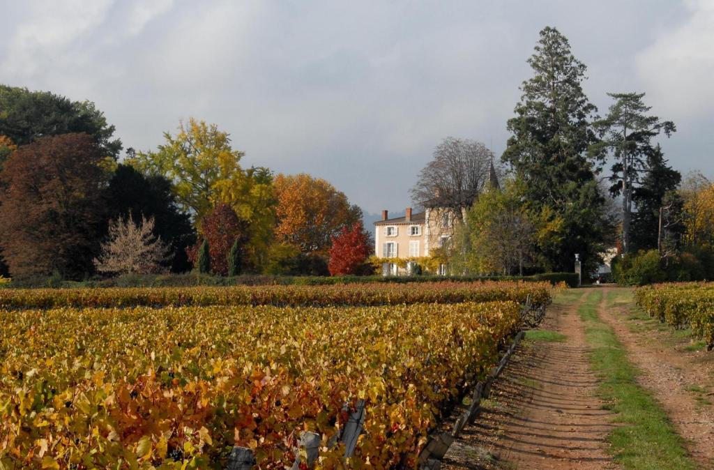 مبيت وإفطار Blacé Chateau De La Flechere المظهر الخارجي الصورة